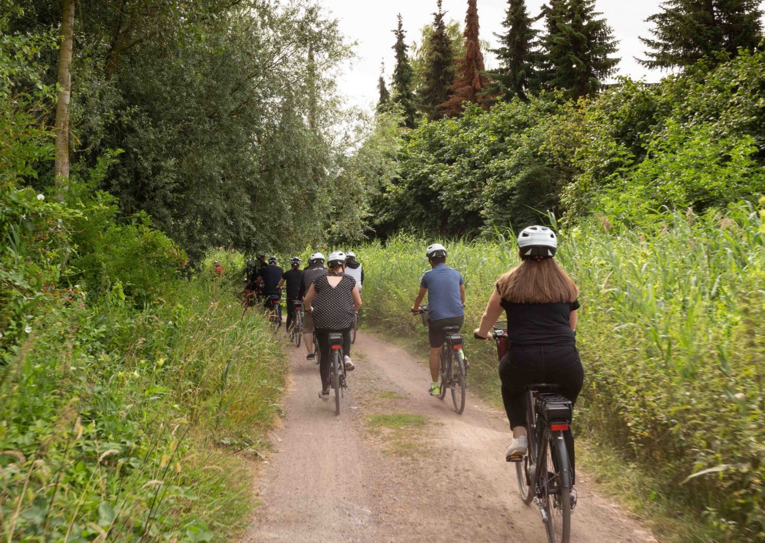 La Forêt De Marchiennes - Coeur D'Ostrevent Tourisme