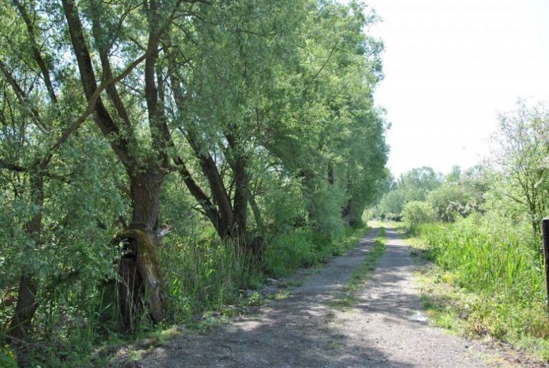 Photo de paysage - Marchiennes